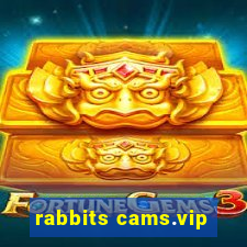rabbits cams.vip
